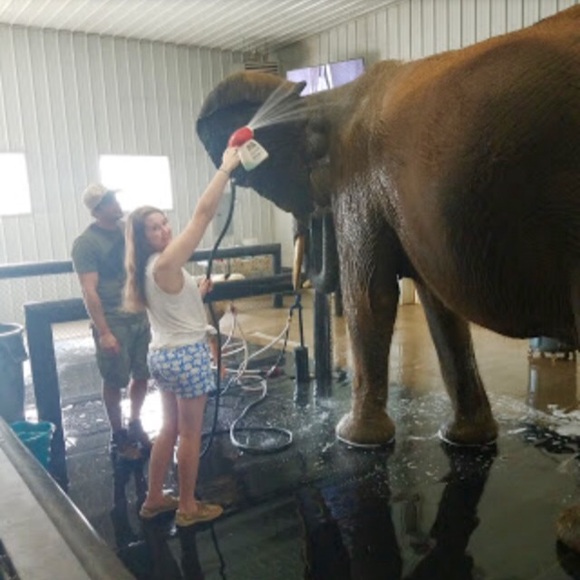 Meet your Posher, Emily - Picture 3 of 3